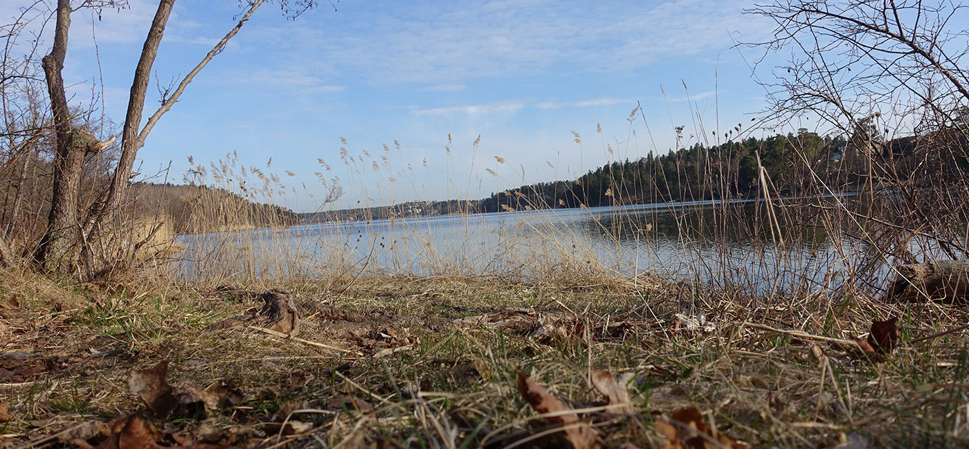 Guide till tystnaden blog