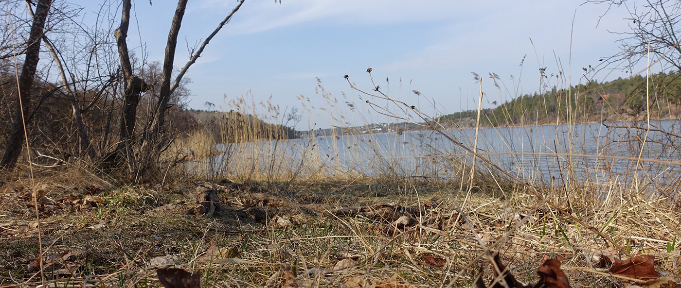 Guide till tystnaden blog